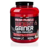Body World Group Mega Muscle Weight Gainer